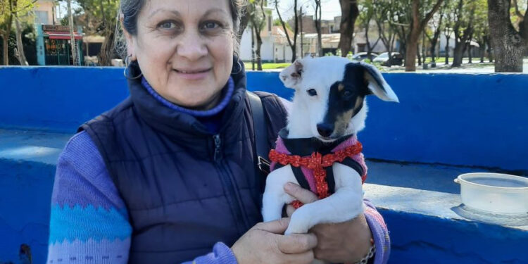 Zoonosis Brown vacunó y desparasitó a 2500 animales durante una jornada en las localidades