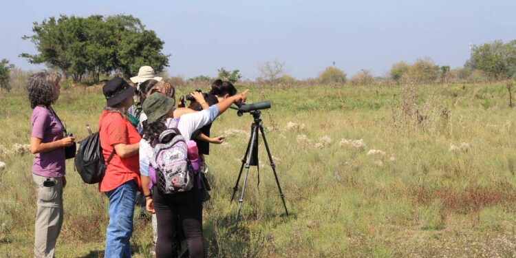 El municipio finaliza el mes del ambiente con una jornada de observación de aves en la Quinta Rocca