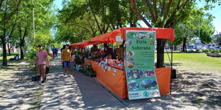 La Feria Soberana de Guernica vuelve a la plaza Belgrano con una charla abierta sobre hongos comestibles