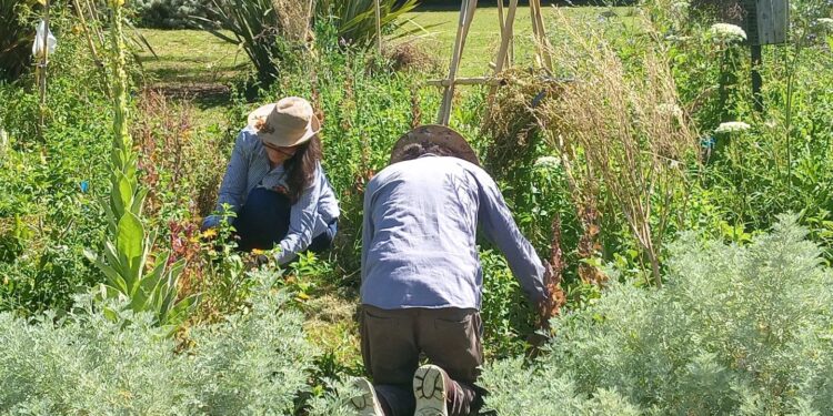 Abren la inscripción para las tecnicaturas gratuitas de la escuela de jardinería de Lomas