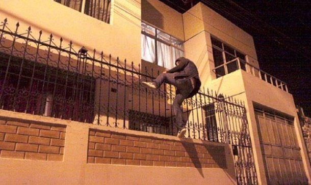 ladrón saltando pared casa escalada robo - Brown Online