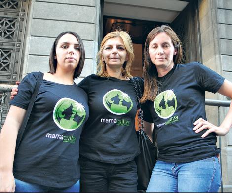 Diputados aprobó el uso del cannabis medicinal pero negó el autocultivo