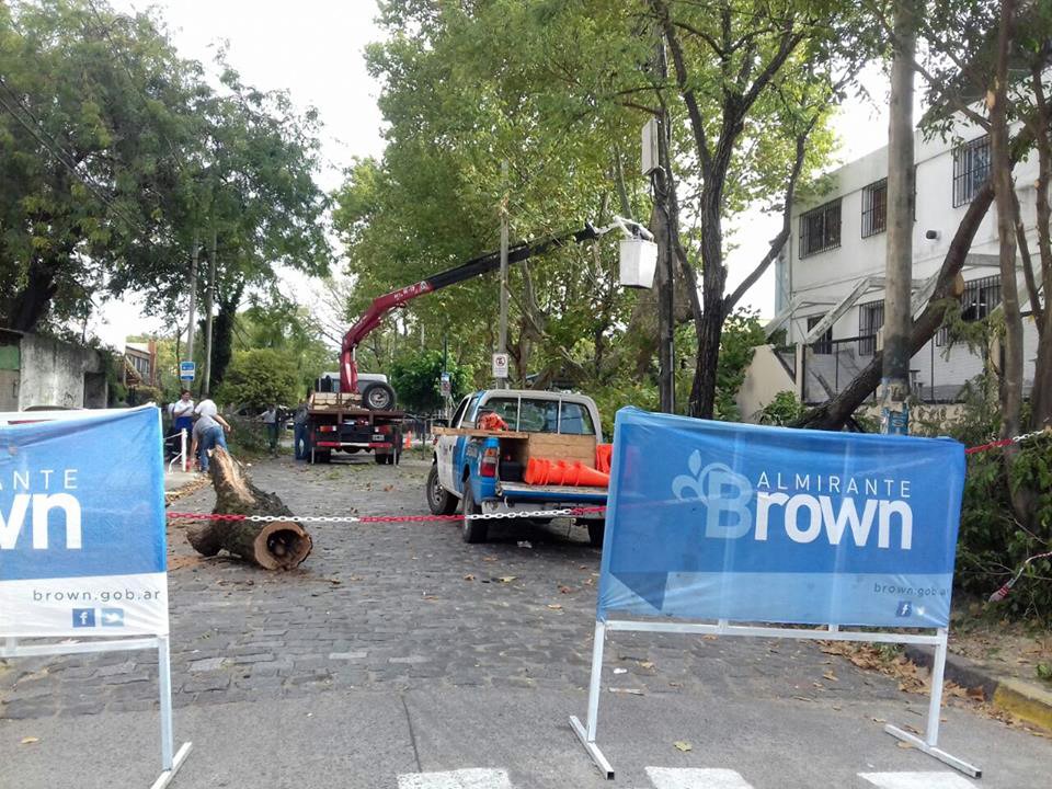 El municipio de Brown realiza podas de seguridad y lanza recomendaciones