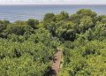 Avellaneda: visitas a la reserva natural para festejar el Día Mundial del Turismo