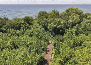 Avellaneda: visitas a la reserva natural para festejar el Día Mundial del Turismo