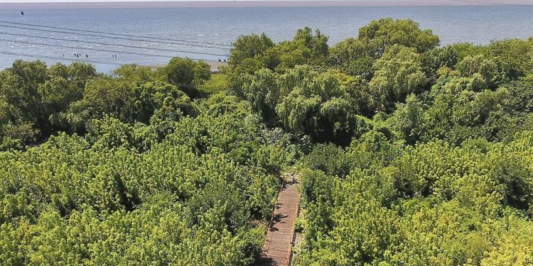 Avellaneda: visitas a la reserva natural para festejar el Día Mundial del Turismo