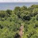 Avellaneda: visitas a la reserva natural para festejar el Día Mundial del Turismo