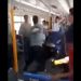 Video: brutal pelea en el tren Roca entre un vendedor ambulante y pasajeros