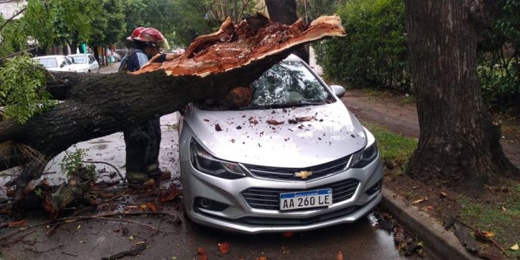 Árboles caídos, techos volados y miles de vecinos sin luz, el saldo del temporal en Brown