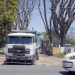 Quilmes: juntan firmas para evitar la tala de árboles de más 160 años de edad