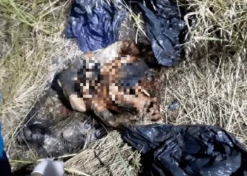 Varela: la mató, la descuartizó, la quemó y la arrojó a un descampado