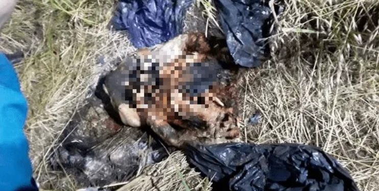 Varela: la mató, la descuartizó, la quemó y la arrojó a un descampado