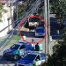 Un toro suelto causó pánico entre vecinos de Quilmes