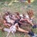 Temperley: mataron a golpes a un joven y quisieron prender fuego el cuerpo