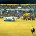 Murió un jinete aplastado por un caballo en Jesús María