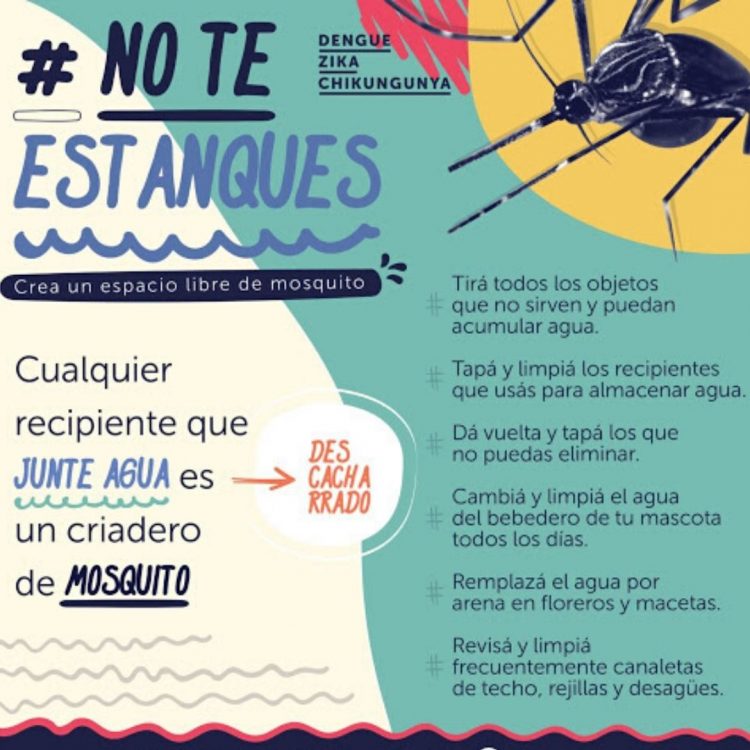 ¿Cuáles son los síntomas del dengue y cómo prevenirlo?