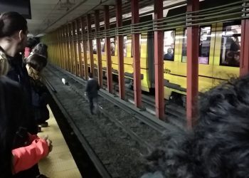 Un perro en las vías demoró la línea B de subtes