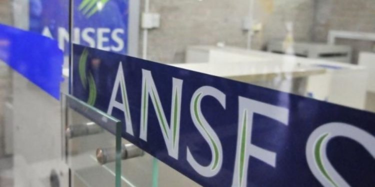 Anses suspendió hasta mayo la «fe de vida» para jubilados y pensionados