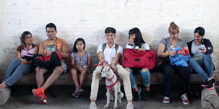 En un operativo especial, Brown y Quilmes castran más de 100 animales por día