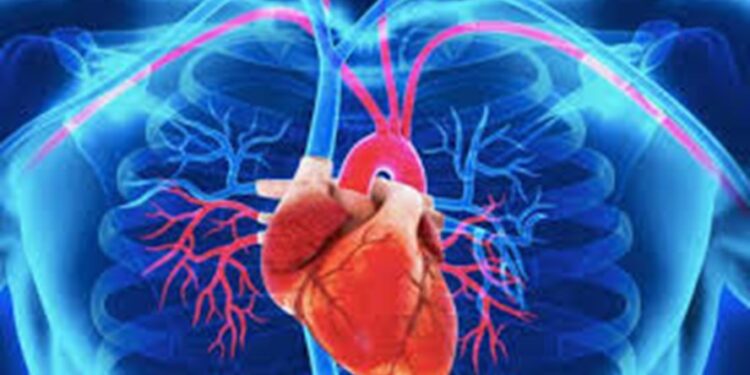 La otra cara de la Covid-19: Hay riesgo de hasta 9000 muertes por problemas cardiovasculares