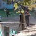 En plena cuarentena armaron un «picadito» en Llavallol