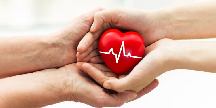 Día Nacional de la Donación de Órganos: Argentina sostiene la actividad aún en cuarentena