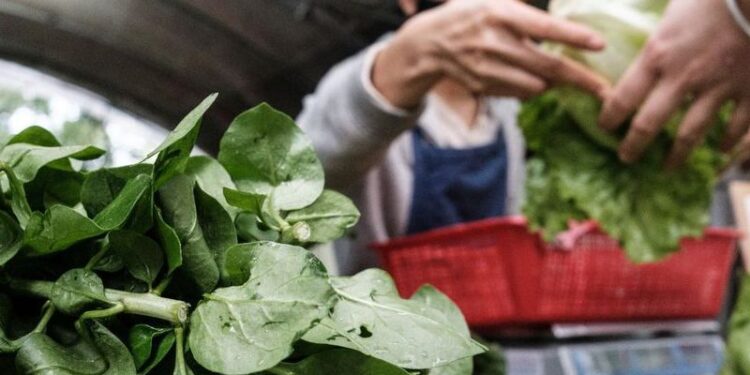 Alimentación en cuarentena: cómo alcanzar un equilibrio saludable