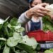 Alimentación en cuarentena: cómo alcanzar un equilibrio saludable