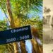 Día del perro en Argentina: la historia de «Chonino», el perro policía
