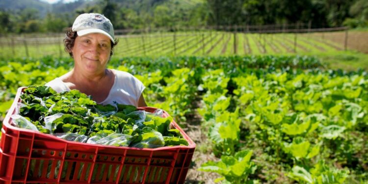 La Provincia creó un programa para impulsar las producciones agroecológicas