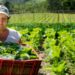 La Provincia creó un programa para impulsar las producciones agroecológicas