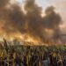 Berazategui suma un foco activo a los incendios forestales en el país