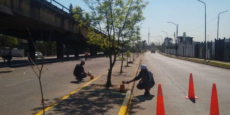 El municipio suma mejoras, seguridad y equipamiento en el puente de Claypole