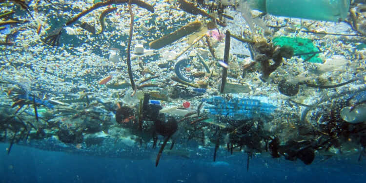 La isla de basura más grande del planeta ya superó el tamaño de la Patagonia Argentina