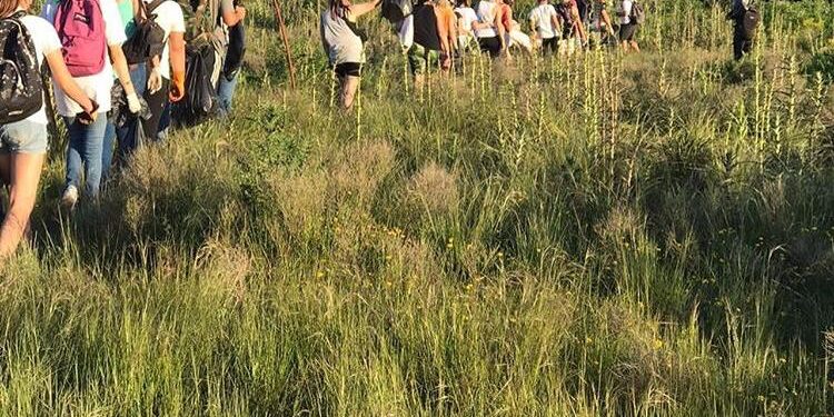 Hallaron más de 200 kilos de plástico y residuos en la reserva de Longchamps