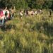 Hallaron más de 200 kilos de plástico y residuos en la reserva de Longchamps
