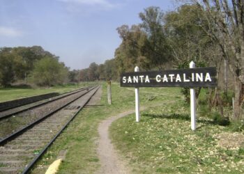 Lomas: lo mataron de un palazo para robarle el celular