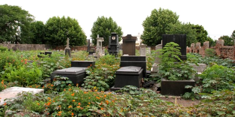 Zwi Midgal, la mafia judía que prostituía mujeres y las enterraba en el «Cementerio de los Impuros» de Avellaneda