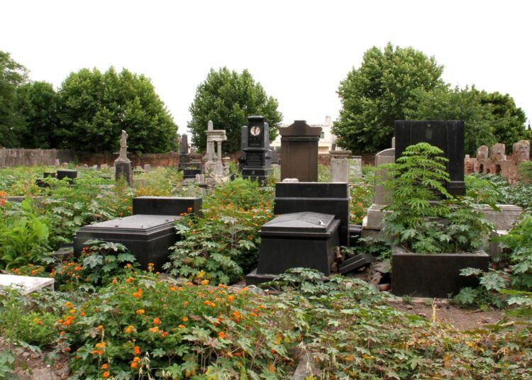 Zwi Midgal, la mafia judía que prostituía mujeres y las enterraba en el «Cementerio de los Impuros» de Avellaneda