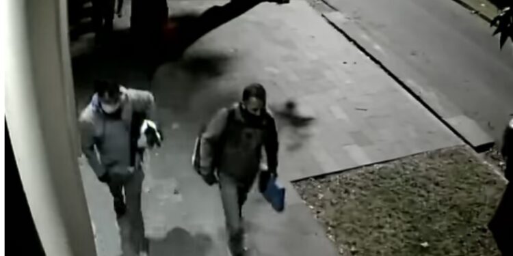 Lomas: torturaron a una jubilada y le robaron el perro porque no tenía plata