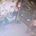 Lomas: atropelló, mató a una jubilada y huyó