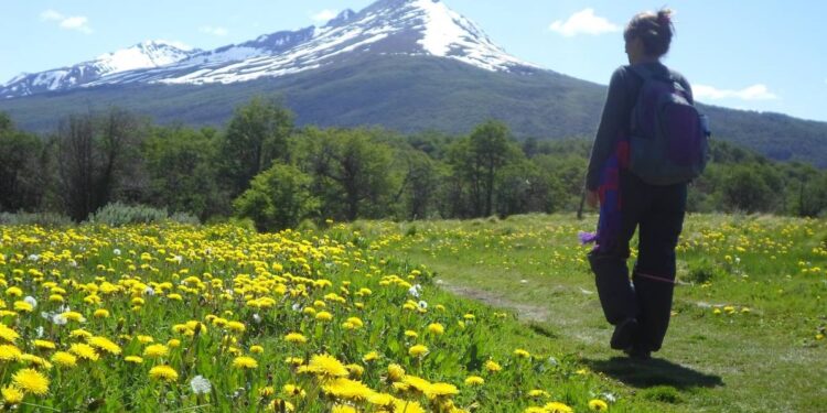 Más de 6 millones de turistas se movilizaron por el país desde el 1 de diciembre