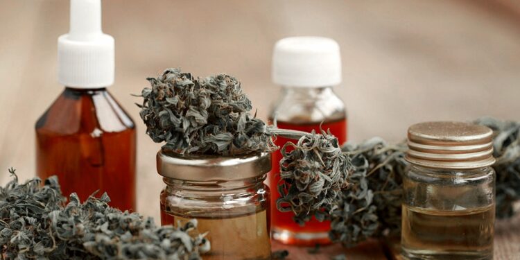 El Gobierno habilitó el registro de autocultivo de cannabis medicinal