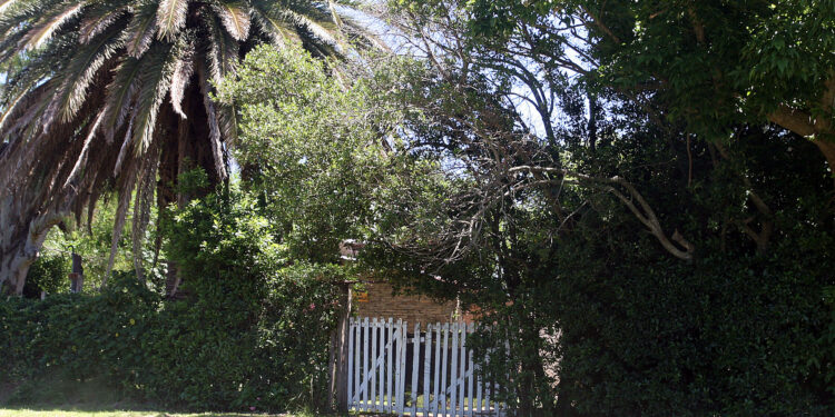 Semana de la Memoria: el paso del periodista Rodolfo Walsh por Alejandro Korn