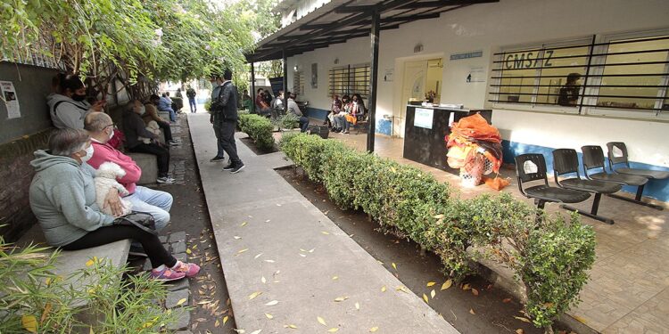 En el día del animal, Zoonosis Brown sigue creciendo y suma servicios