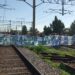 Tren Roca: corte de vías en Darío y Maxi afecta al servicio de trenes