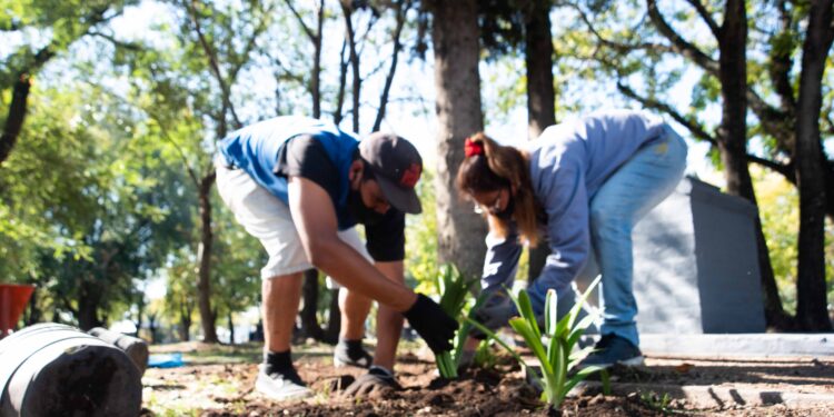 El municipio avanza con la plantación de miles de árboles en Brown