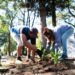 El municipio avanza con la plantación de miles de árboles en Brown
