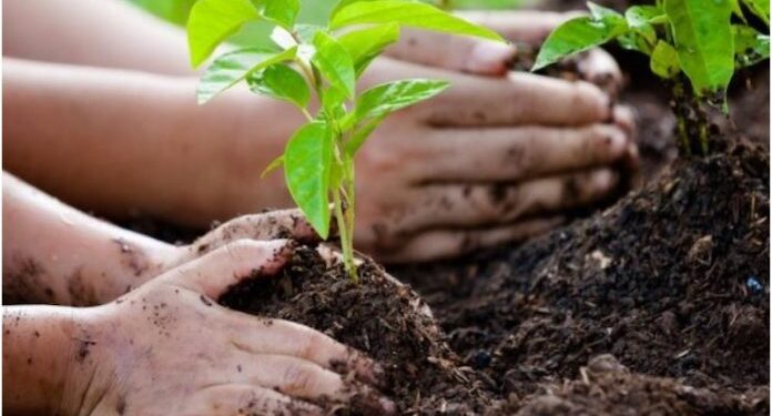 Es ley el proyecto sobre Educación Ambiental