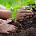 Es ley el proyecto sobre Educación Ambiental